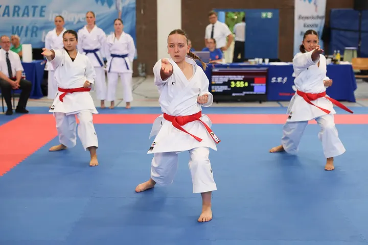 Shotokan-Karate-Würzburg — kampfsport-studio in Würzburg Altstadt, Würzburg — 3