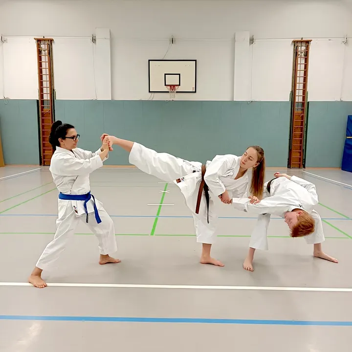 Shotokan-Karate-Würzburg — Kampfsport in Würzburg Altstadt, Würzburg