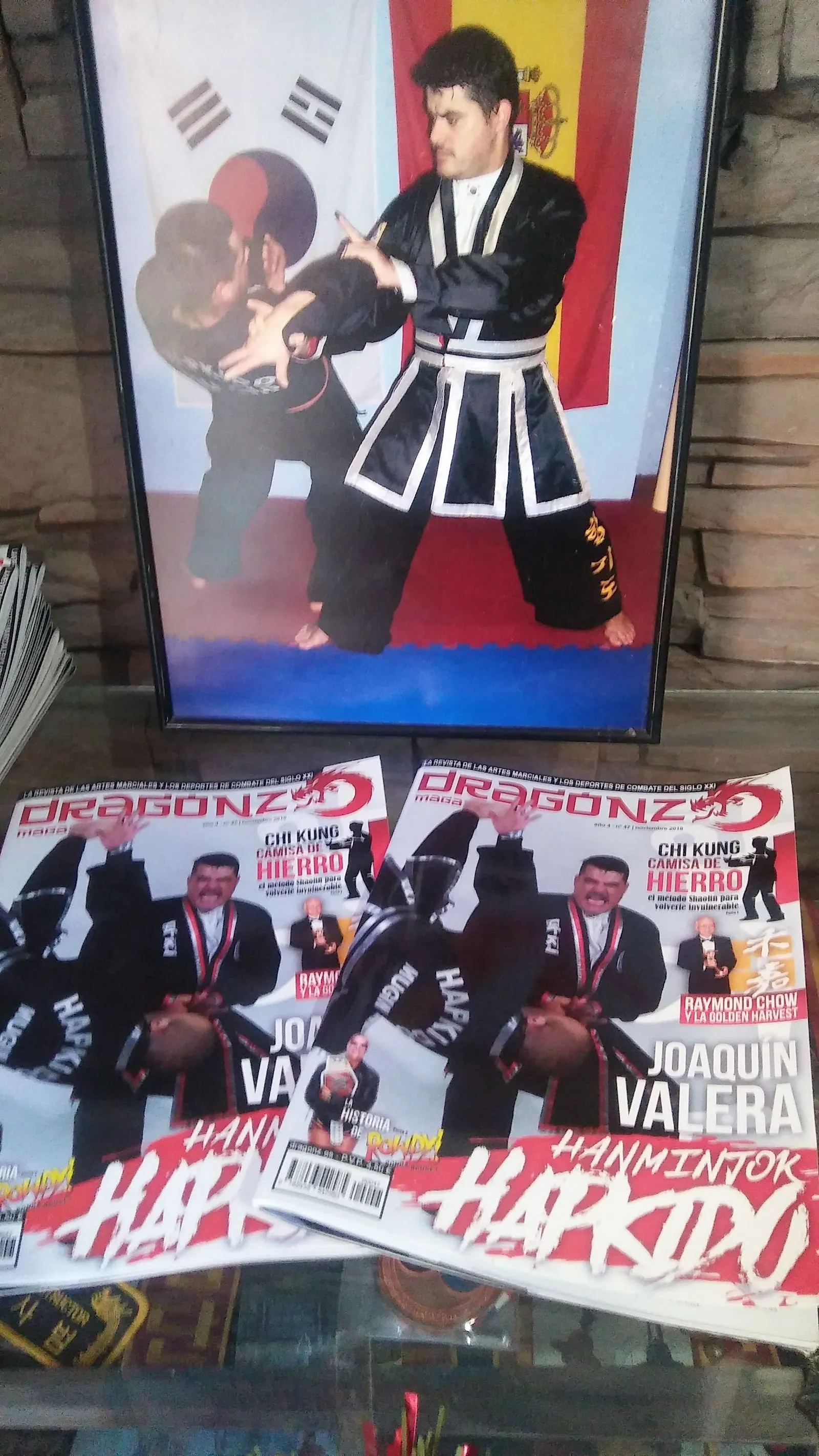 ESCOLA D'ARTS MARCIALS MUGIN — artes marciales-studio en Massamagrell — 2