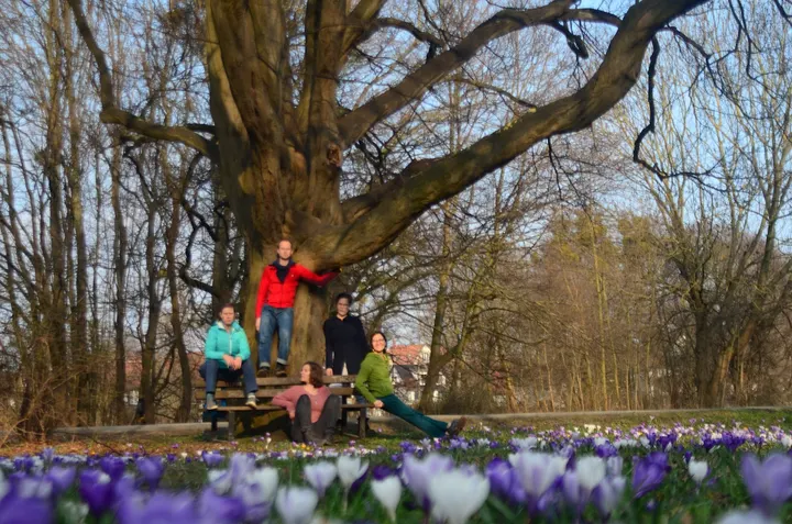 YogaRaumHildesheim — Yoga in Neustadt, Hildesheim