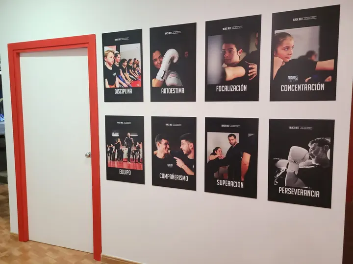 Black Belt Academy - Sabadell — mma-studio en Sabadell — 5