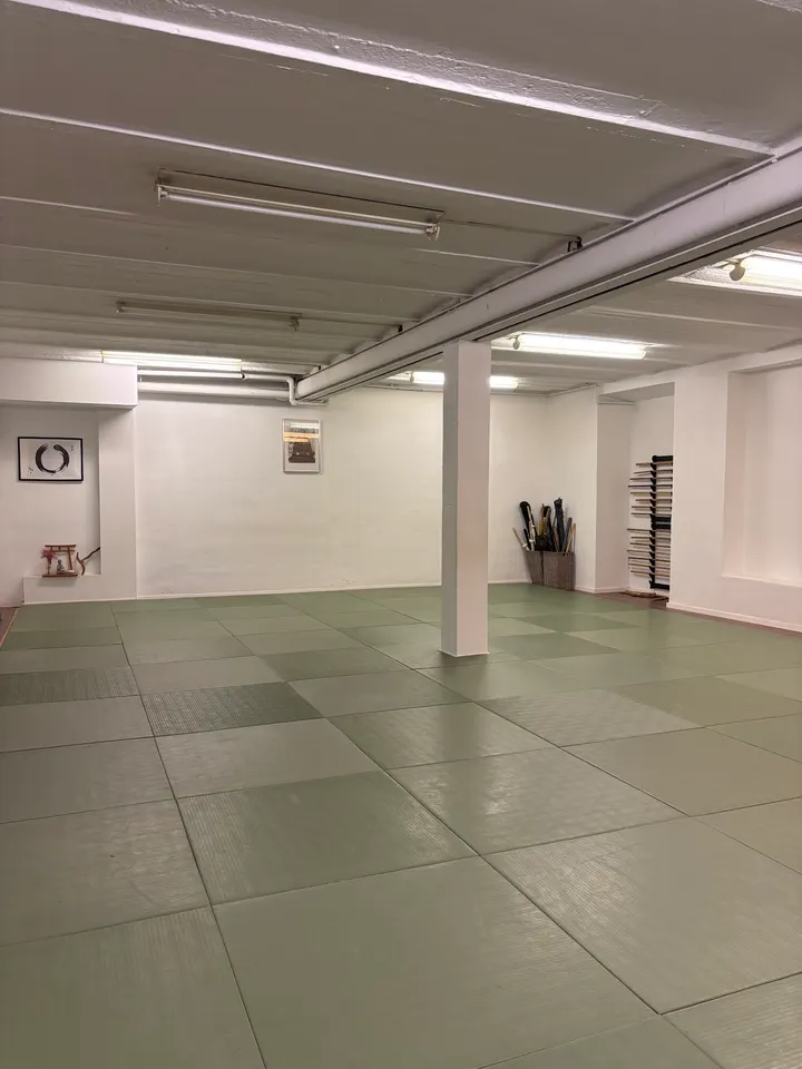 Zero pressure Jiu Jitsu — BJJ in Nordend, Offenbach am Main