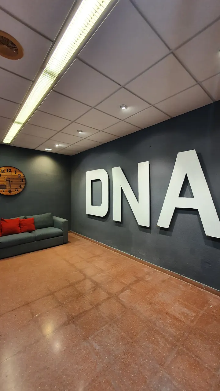 DNA URBAN DANCE ACADEMY — baile-studio en Torreforta, Tarragona — 3