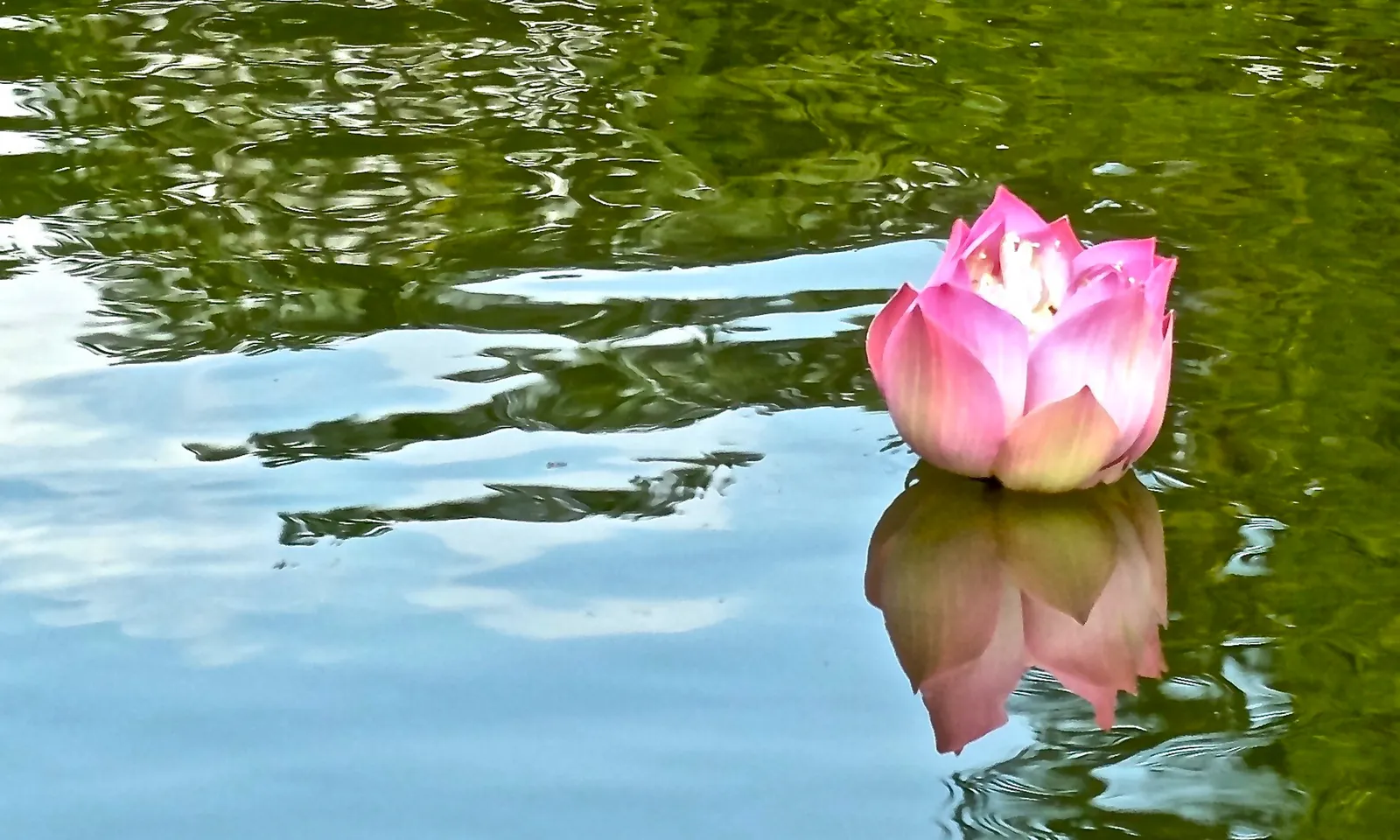 Lu Jong Yoga - tibetisches Heilyoga — yoga-studio in Hamburg — 6