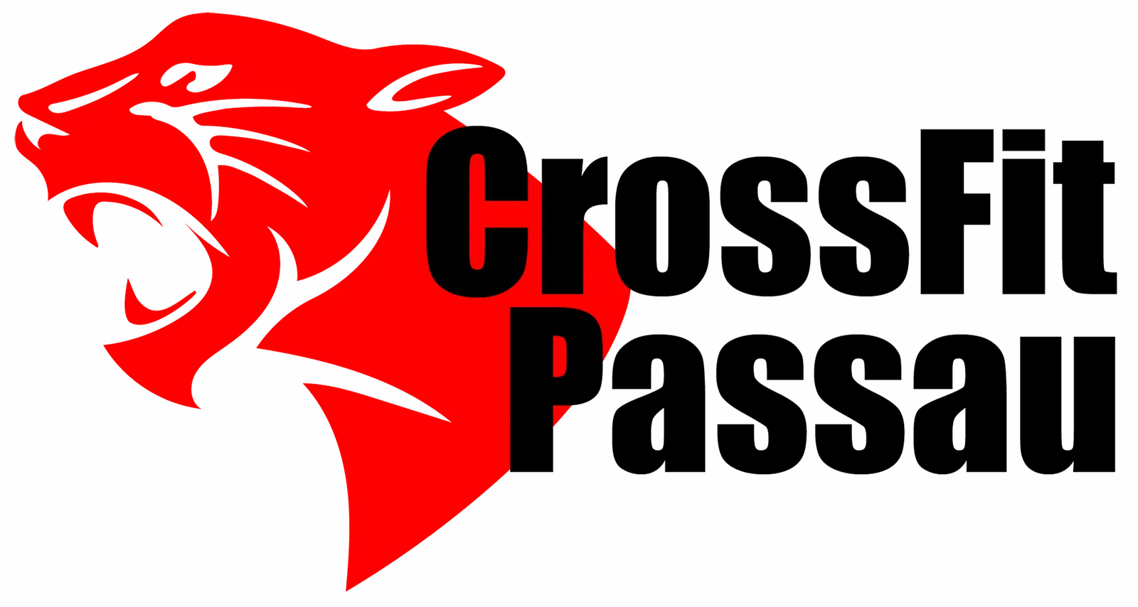 CrossFit® Passau — crossfit-studio i Passau — 3