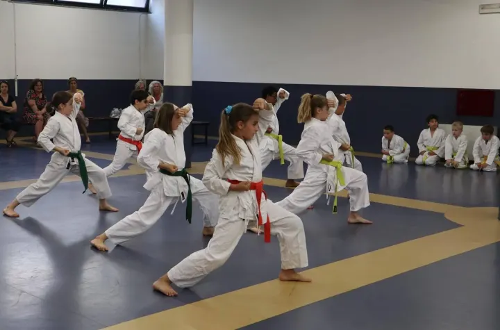 Tōkon Karate Milano — Arti marziali a Ronchetto Sul Naviglio, Milano