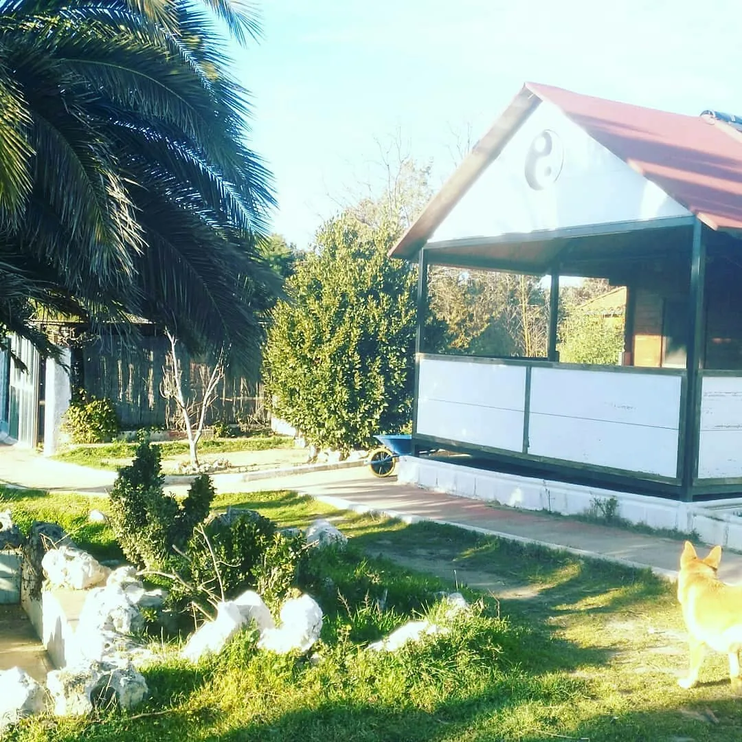 Osdam Organización Solidaria De Artes Marciales — artes marciales-studio en Villanueva del Pardillo — 5