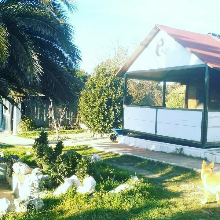 Osdam Organización Solidaria De Artes Marciales — artes marciales-studio en Villanueva del Pardillo — 5