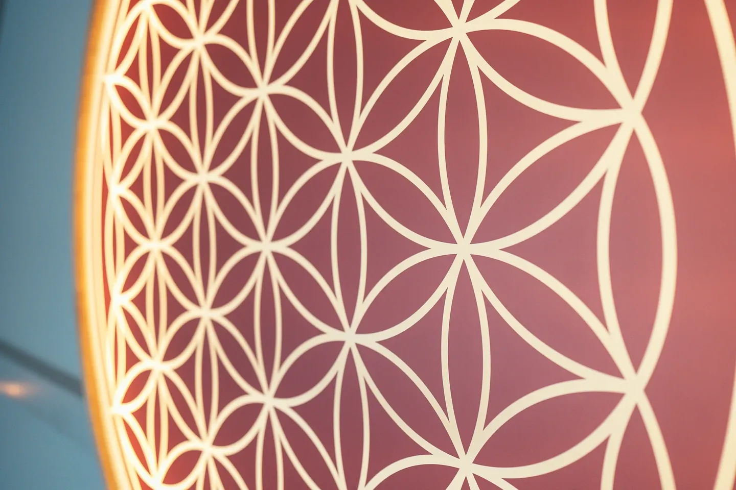 Raum 44 by effektiv physio und training — yoga-studio i Schwaikheim — 3