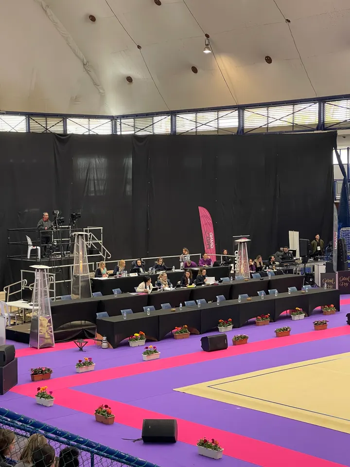 C.E.T.D Gimnasia Rítmica "Ciudad de Marbella" — Gimnasia en Miraflores, Marbella