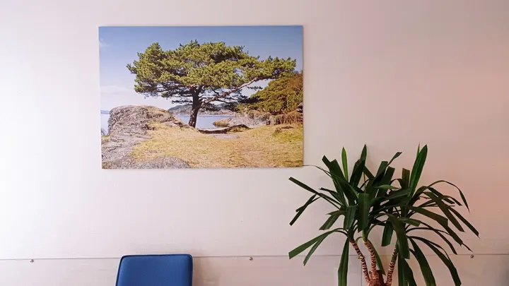 Stokmoen Fysioterapi og Manuellterapi — pt-studio i Stjørdal — 3