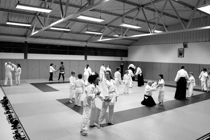 Aikidojo Dijon — Arts martiaux à Université, Dijon