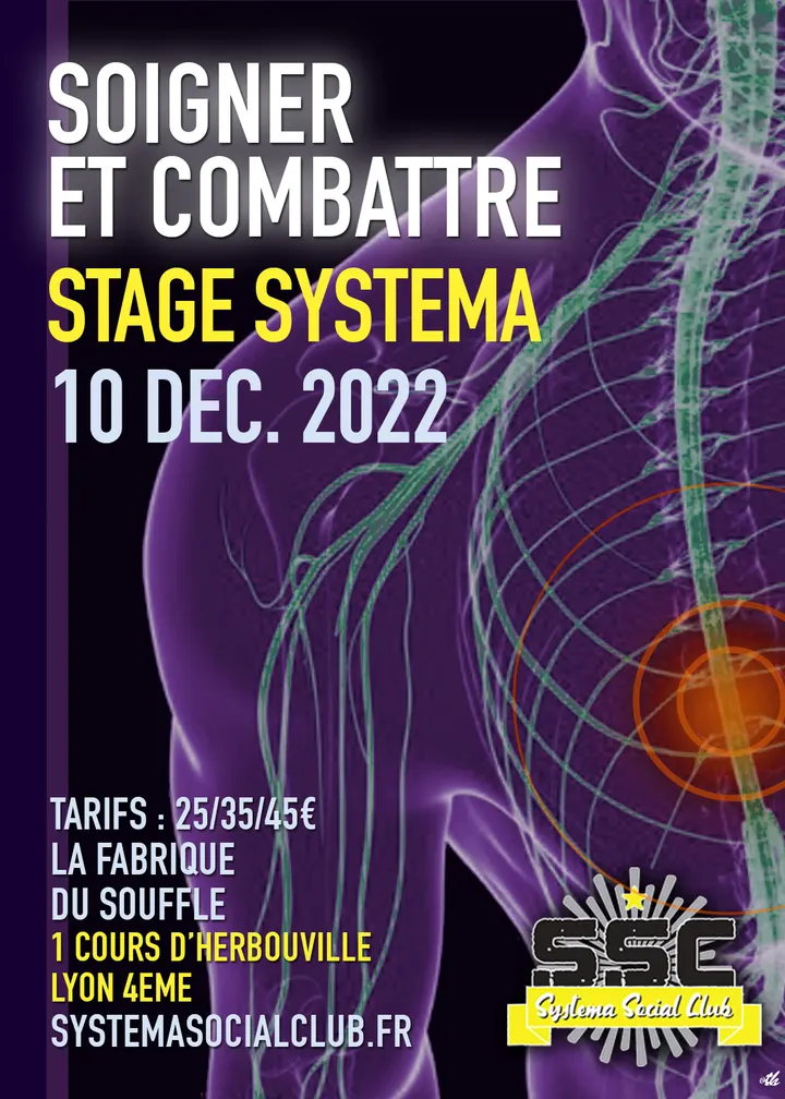 Systema Social Club — arts martiaux-studio à Lyon 4e Arrondissement, Lyon — 3