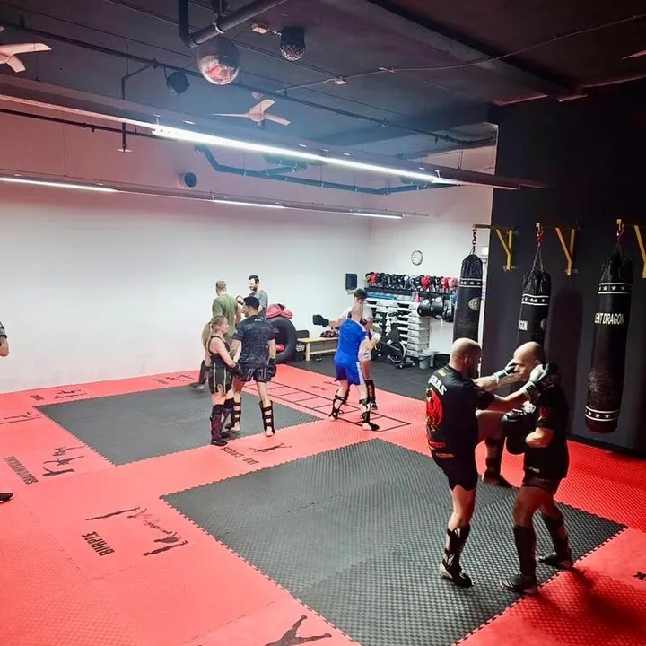 Sportingclub FreeFitness B.V. — sportschool-studio in Centrum, Spijkenisse — 3