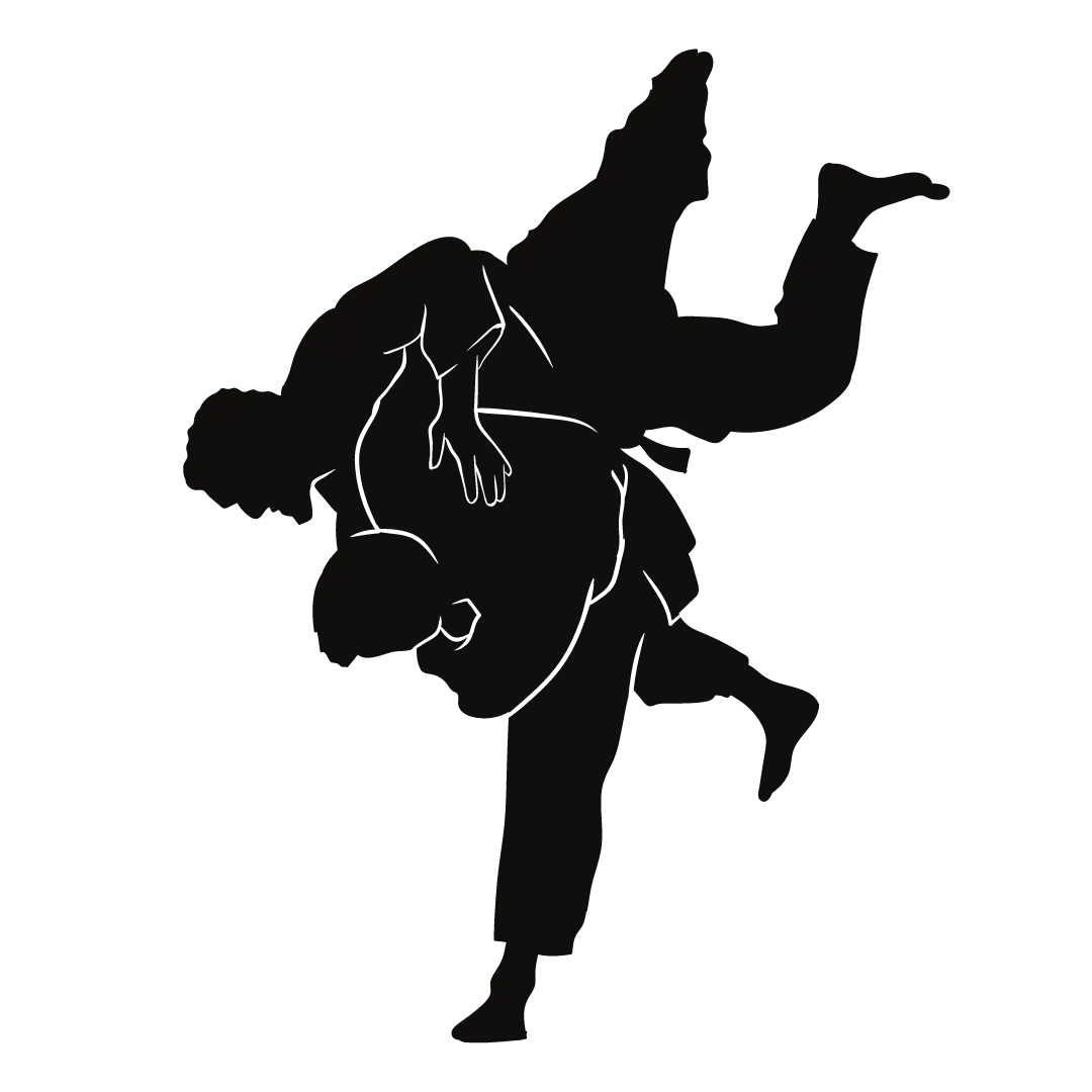 Judo Club Muñiz — kampsport-studio i Santander — bild 2