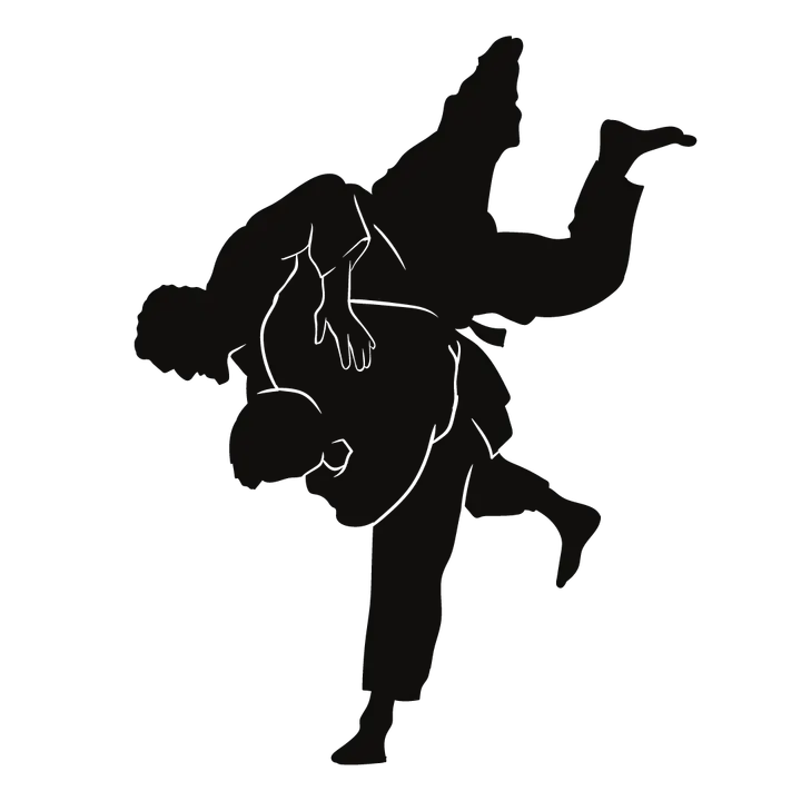 Judo Club Muñiz — artes marciales-studio en Cajo, Santander — 2