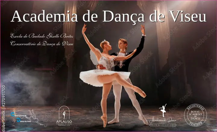 Ensino Artístico Especializado de Dança — Dança em Viseu