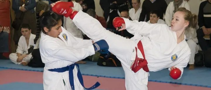 Karate Landesfachschule RuhrDojo — Kampfsport in Kray, Essen
