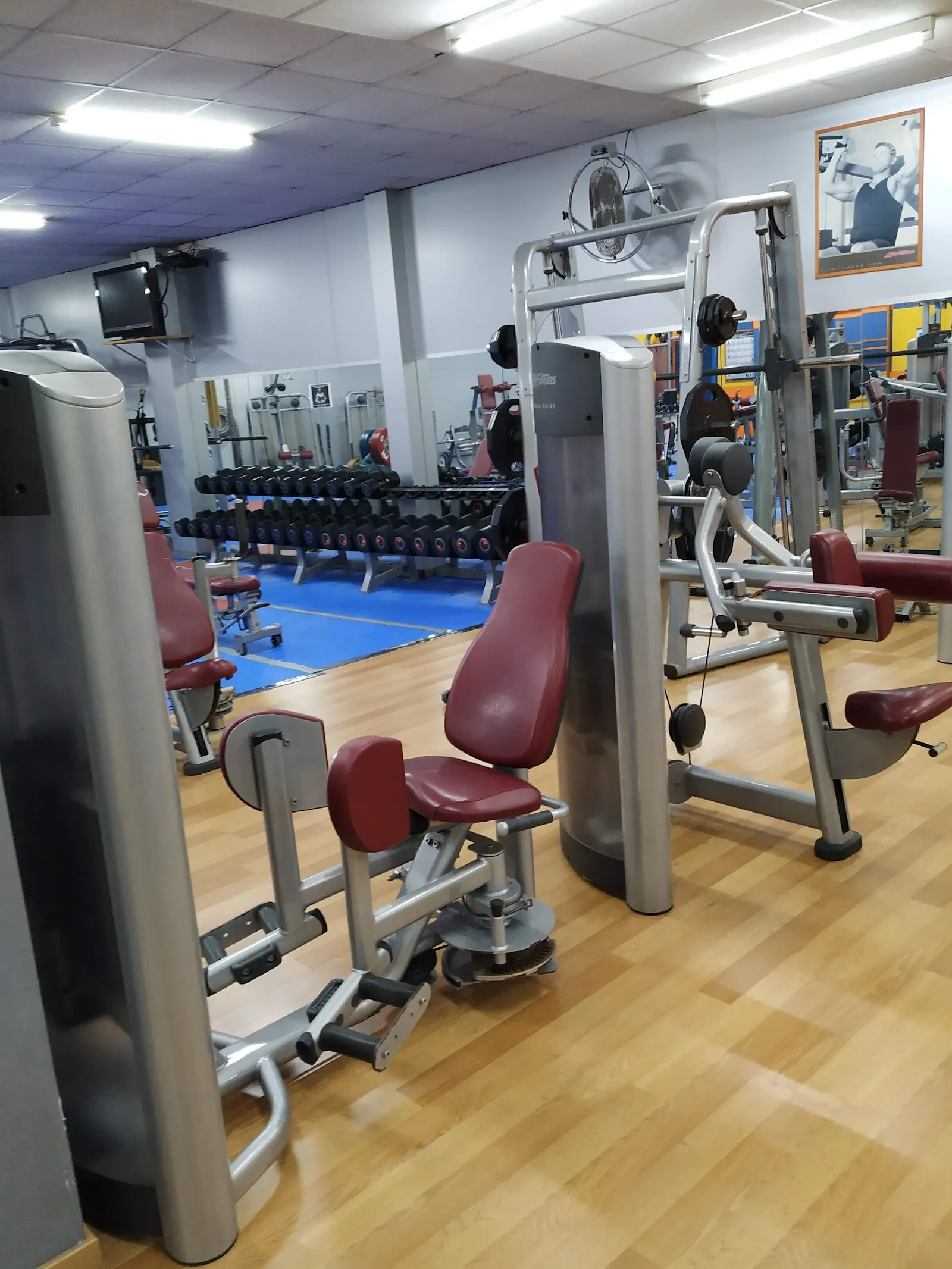 Gimnasio Bitácora — estudio de fitness-studio en Ferrol — 4