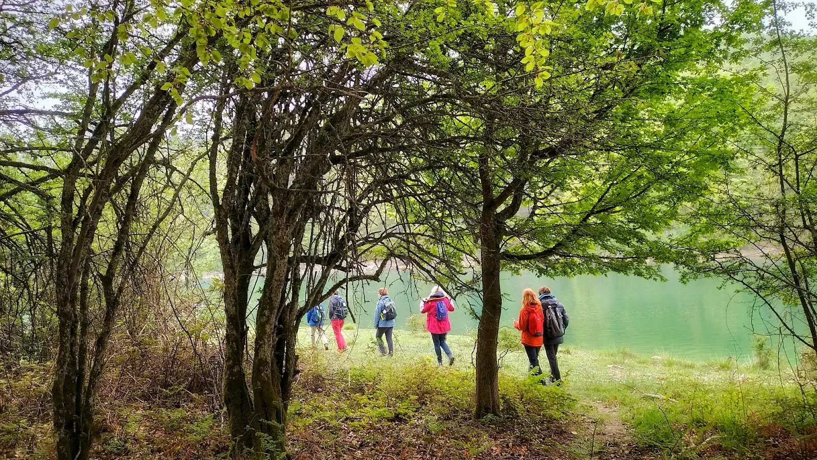 Centro De Retiros De Yoga Y Meditación Pirineo — yoga-studio en Arrieta — 5