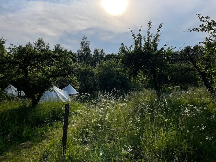 Nina Medicina — breathwork-studio i Ivö — 3