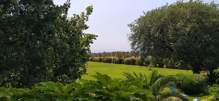le Domaine du Qi Gong — méditation-studio à Saleilles — 2