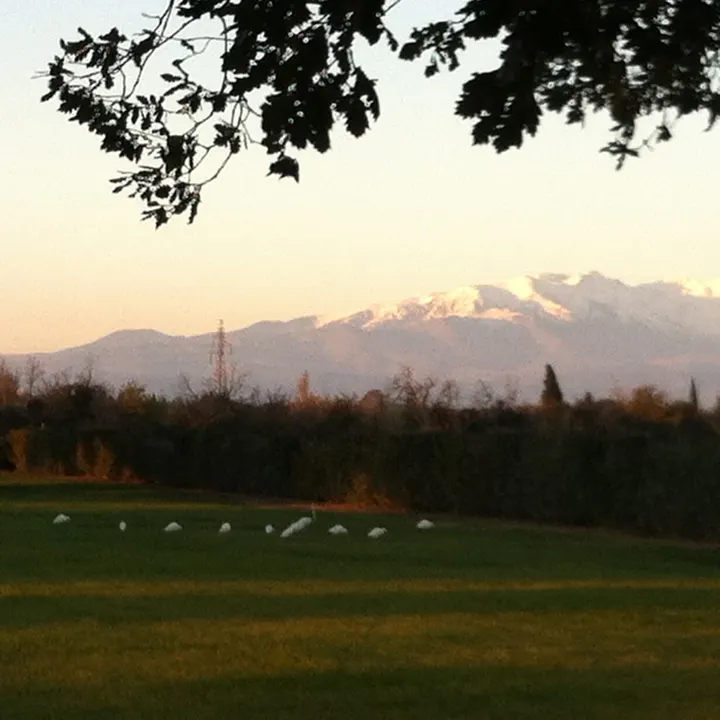 le Domaine du Qi Gong — méditation-studio à Saleilles — 3