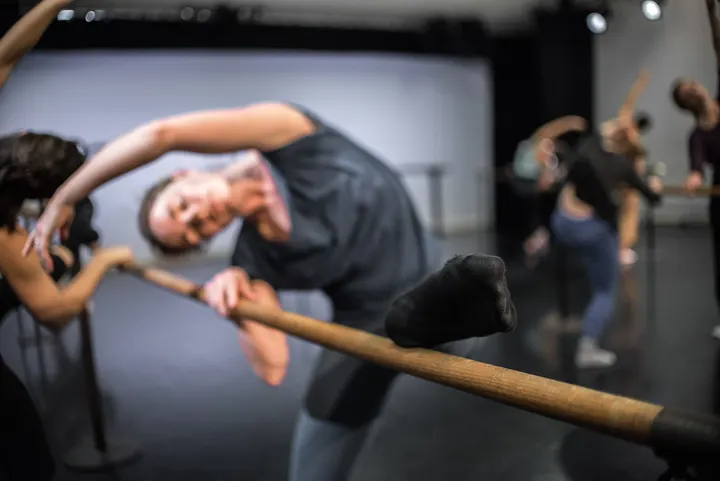 Compagnie Hallet Eghayan et Artistes Associés — danse-studio à Vaise, Lyon — 3