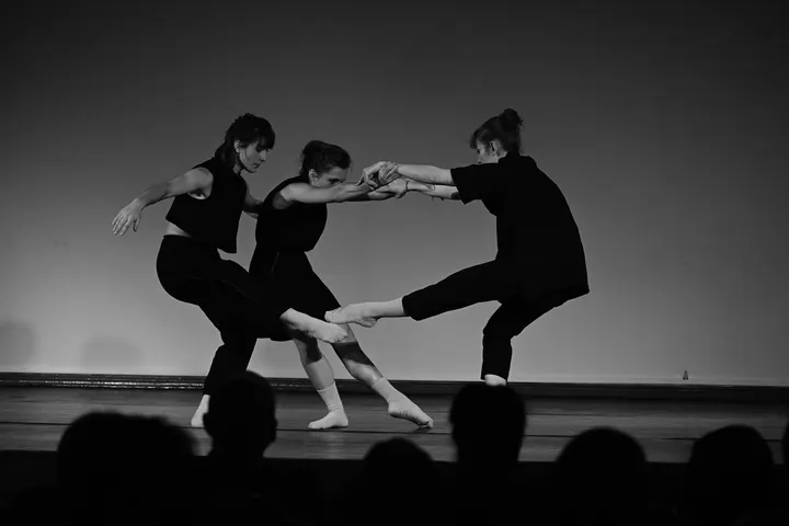 Compagnie Hallet Eghayan et Artistes Associés — danse-studio à Lyon — 3