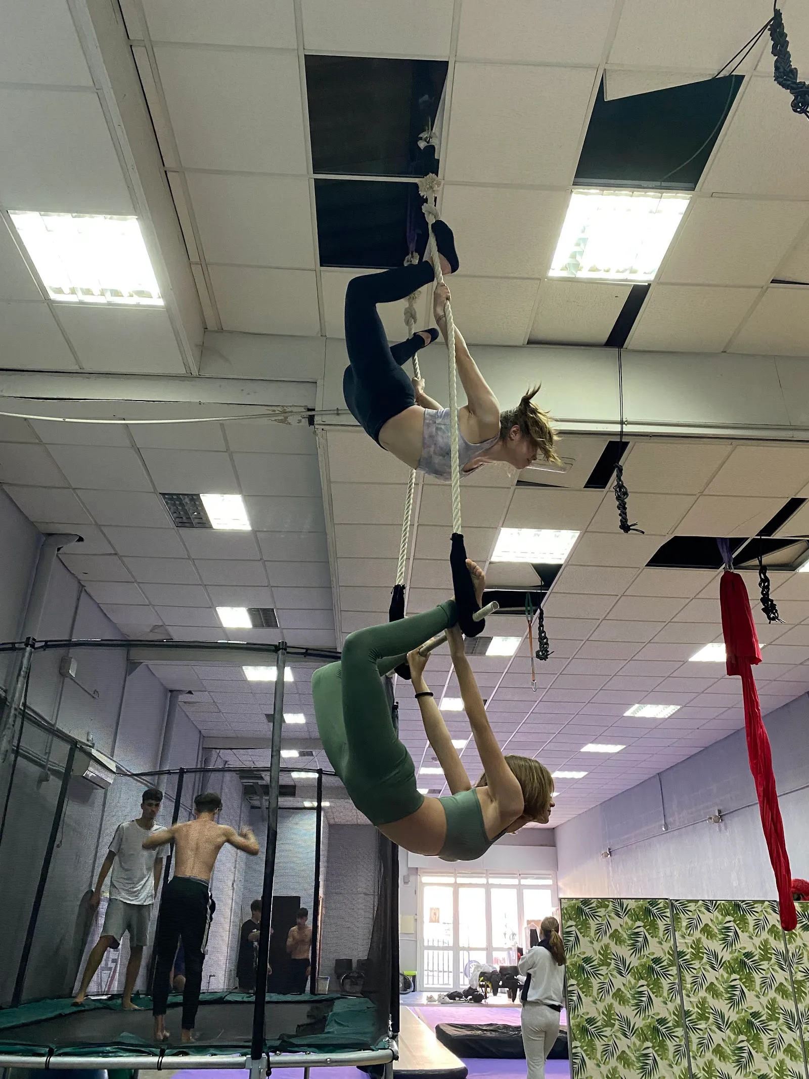 Pirueta Centro Acrobático y de Desarrollo Artístico — gimnasia-studio en Distrito Noroeste, Córdoba — 2