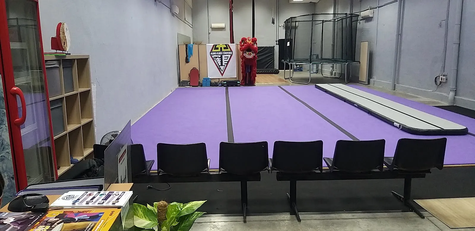 Pirueta Centro Acrobático y de Desarrollo Artístico — gimnasia-studio en Córdoba — 4