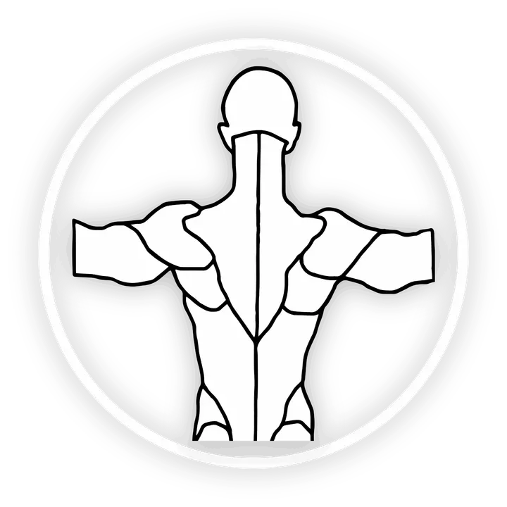 Motionsklubben OUH — Functional Training i Fruens Bøge, Odense