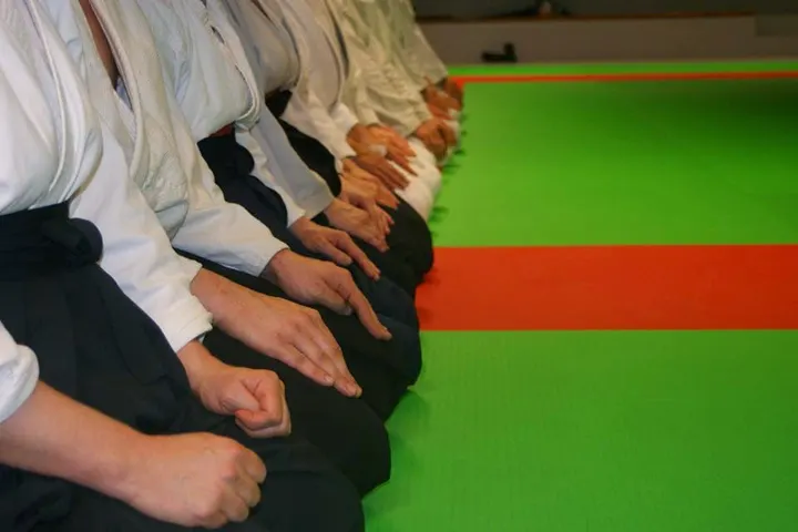 Académie d'Aïkido du Plateau Est — arts martiaux-studio au Mesnil-Esnard — 2