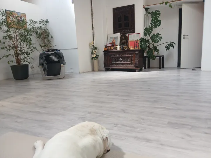 Samsahai Yoga & Massage — yoga-studio in Bremen — 5