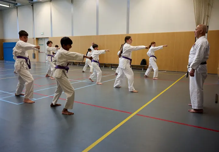 Karateschool Bram Duijn Purmerend — Vechtsport in Weidevenne, Purmerend