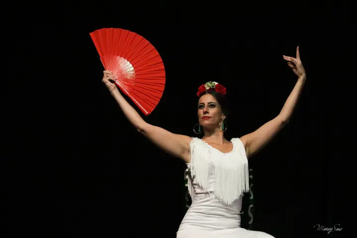 Virginia Martín - Espacio Flamenco — Baile en Benalmádena Costa, Benalmádena