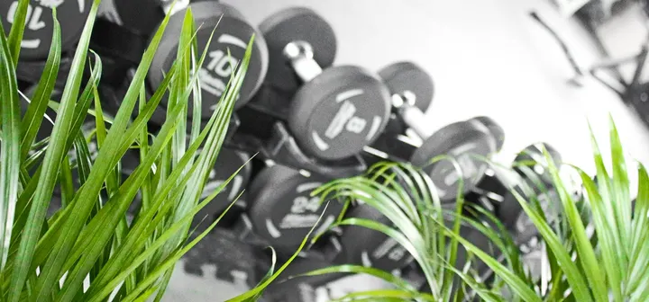 META GYM THOUARE — salle de fitness-studio à Nantes — 3