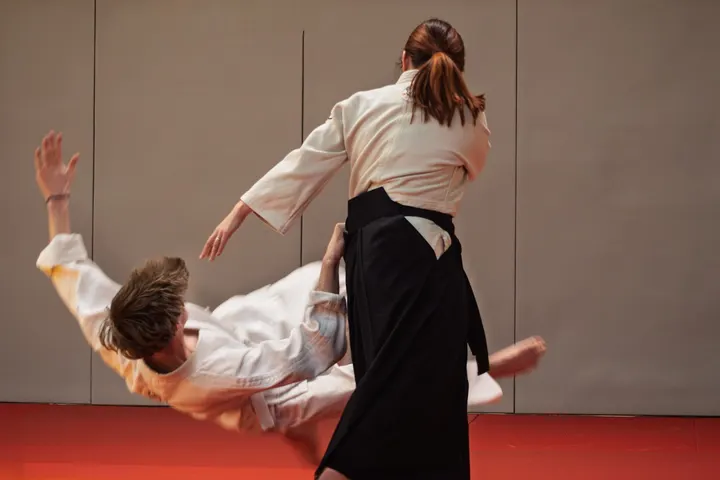 USCB Aikibudo Katori — arts martiaux-studio à La Bretèque, Bois-Guillaume — 3