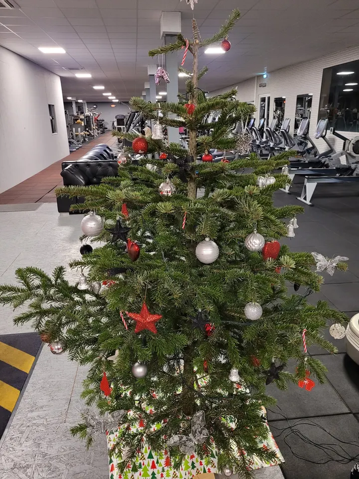 Api' fitness — salle de fitness-studio à Leyviller — 3