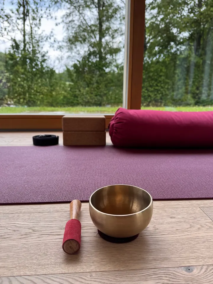Yoga im Park — Hot Yoga in Schwabing-West, München