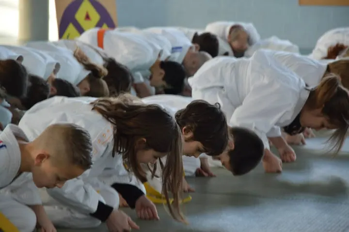 JuJitsu Traditionnel Amiens — JJB à Amiens