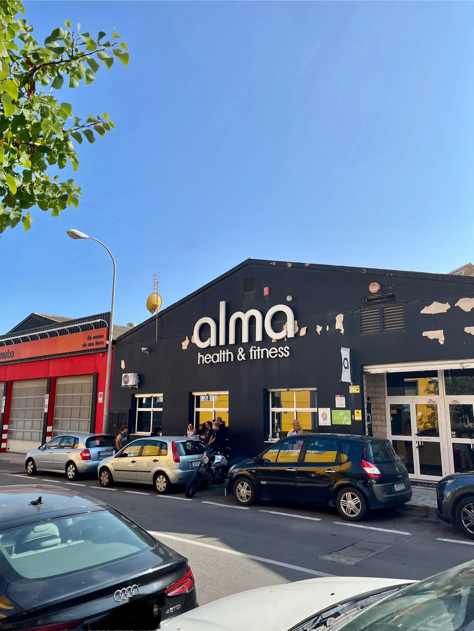 Alma Fitness Club — estudio de fitness-studio en Alicante — 3