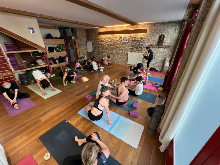 Ecole De Yoga De Mysore — Yoga à Lyon 2e Arrondissement, Lyon