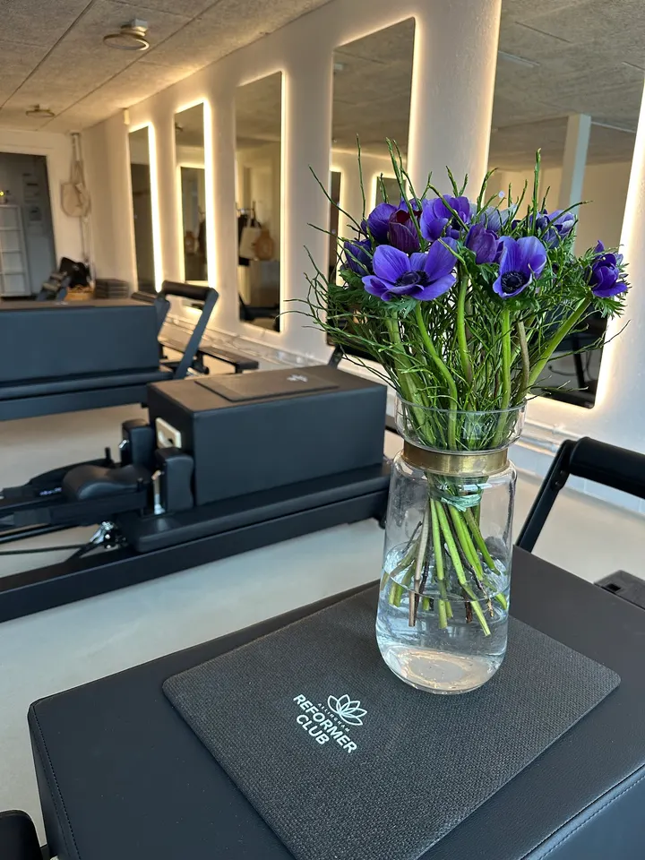 Allingham Reformer Club — pilates-studio i Odense — 4
