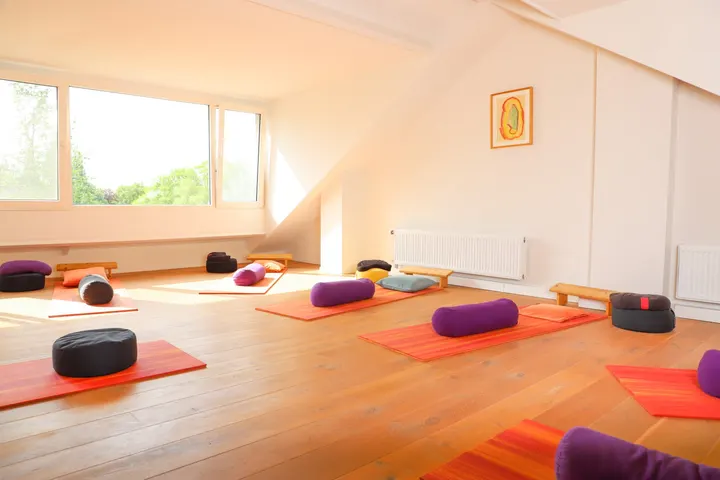 Praktijk Voor Yoga, Zwangerschapsyoga/babymassage — yoga-studio in Vught — 2