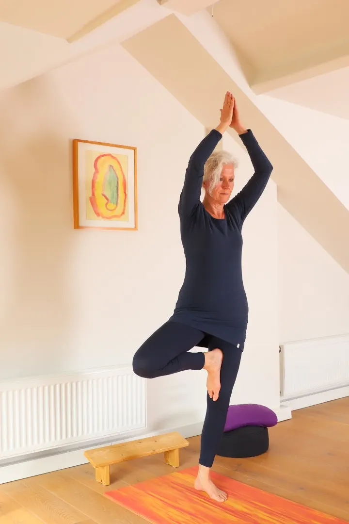 Praktijk Voor Yoga, Zwangerschapsyoga/babymassage — Yoga in Vught
