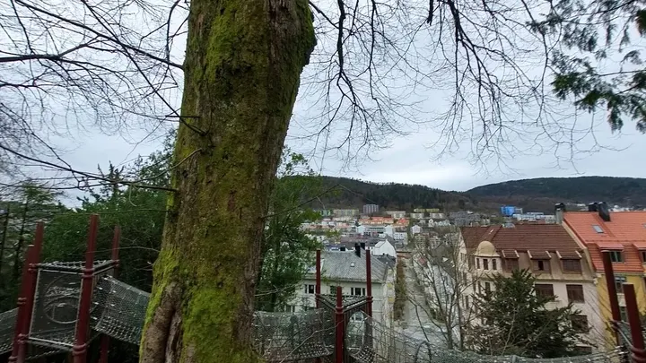 Climbing structure — klatring-studio i Bergen — 3