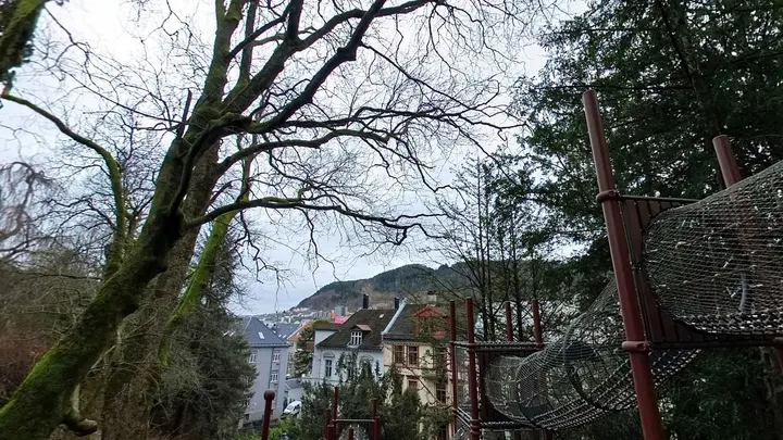 Climbing structure — klatring-studio i Bergen — 5