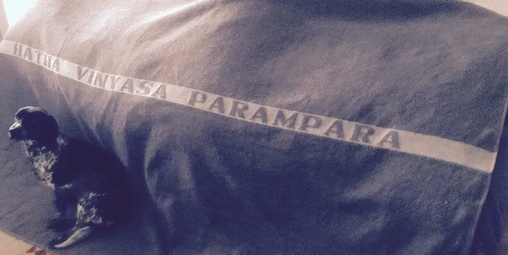 Hatha Vinyasa Parampara Yogaschule — yoga-studio in Mainz — 3