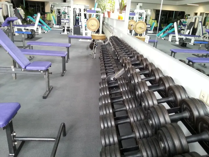 STUDIO 81 — krafttraining-studio in Ditzingen, Stuttgart — 3